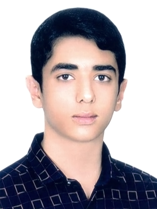 کسب مدال طلا المپیاد سواد و رسانه ایران توسط علی محمد زاده